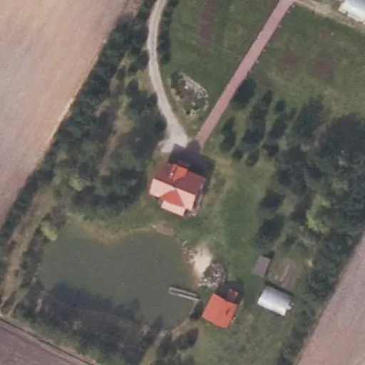 Vaizdas iš viršaus: Nakvišų g. 24, Patamulšėlis