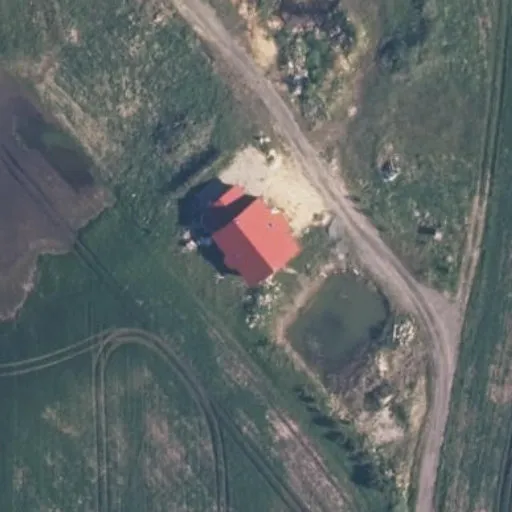 Vaizdas iš viršaus: Pušų g. 3, Dainos