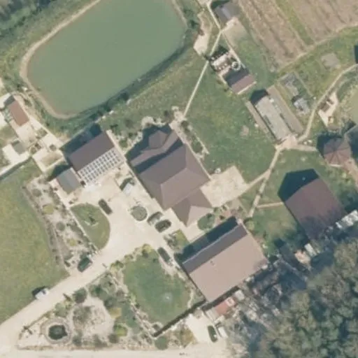 Vaizdas iš viršaus: Tauragės g. 21, Struikai