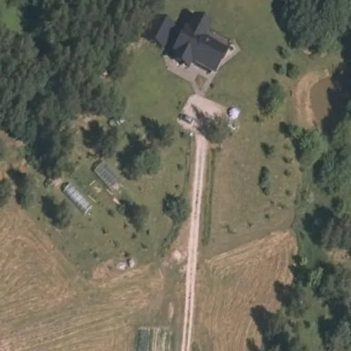 Vaizdas iš viršaus: Klevų g. 24, Balandžiai
