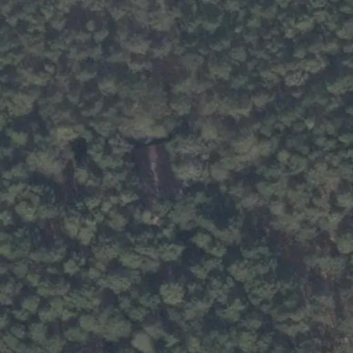Vaizdas iš viršaus: J. Janonio g. 53B, Kačerginė