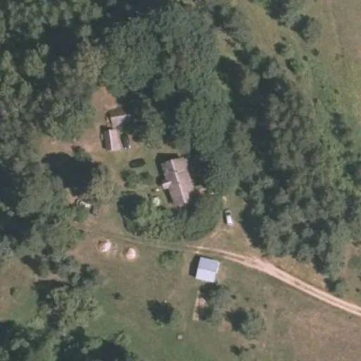 Vaizdas iš viršaus: Piliakalnio g. 26, Radvoniškis