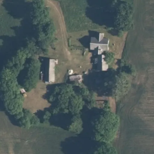 Vaizdas iš viršaus: Laukų g. 8, Avižieniai