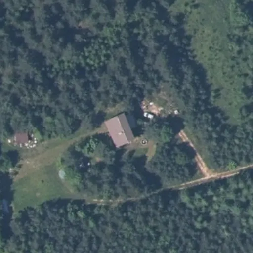 Vaizdas iš viršaus: Žalioji g. 13, Dušnionys