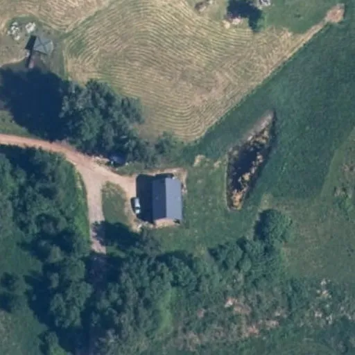 Vaizdas iš viršaus: Žolynų g. 8, Abromiškės