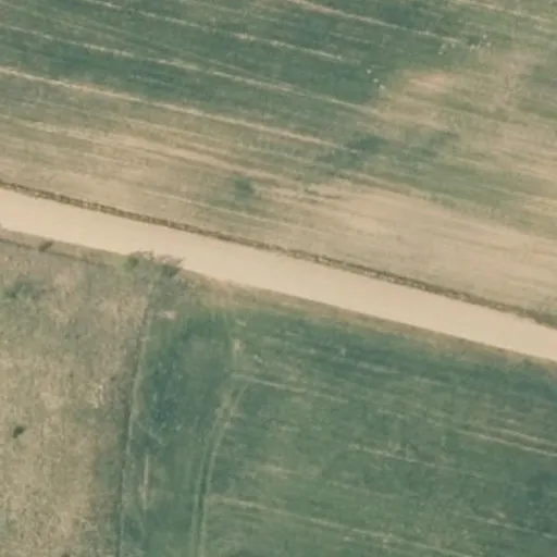 Vaizdas iš viršaus: Skirgailiai 1