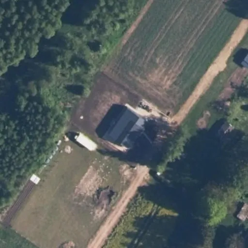 Vaizdas iš viršaus: Liepų g. 55E, Dainos