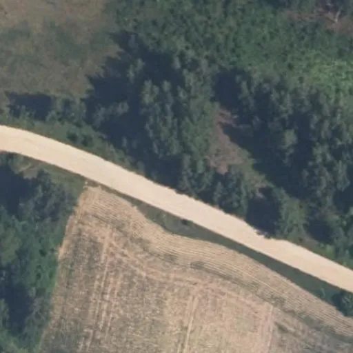 Vaizdas iš viršaus: Žiūriai 12