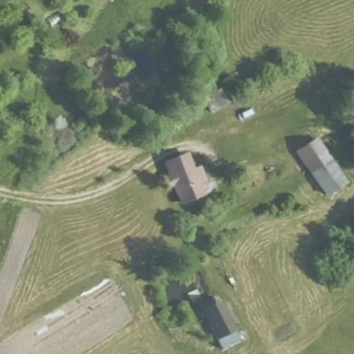 Vaizdas iš viršaus: Antalgės g. 11, Antalgė
