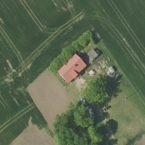 Vaizdas iš viršaus: Tvenkinio g. 5, Buivydžiai