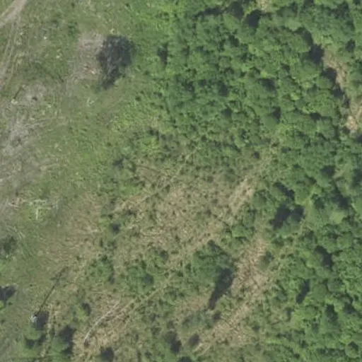 Vaizdas iš viršaus: Baravykai 1