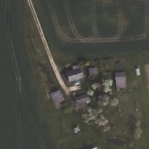 Vaizdas iš viršaus: Rusonių g. 31, Dovainonys