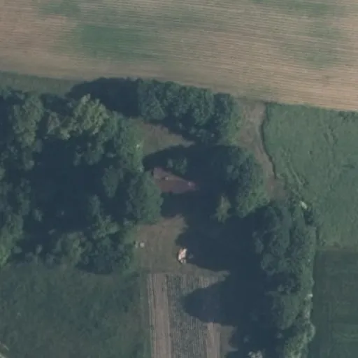 Vaizdas iš viršaus: Ežero g. 46, Raudeniškiai