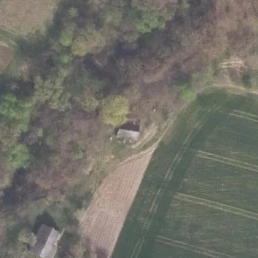 Vaizdas iš viršaus: Nevėžio g. 53E, Panevėžiukas