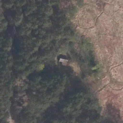 Vaizdas iš viršaus: Kerupės g. 1, Zapyškis
