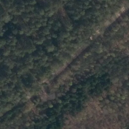 Vaizdas iš viršaus: Rasų g. 18, Krušinskai