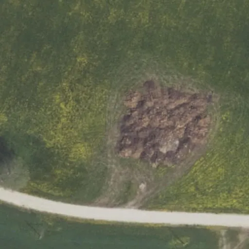 Vaizdas iš viršaus: Daumantų g. 31, Aušra
