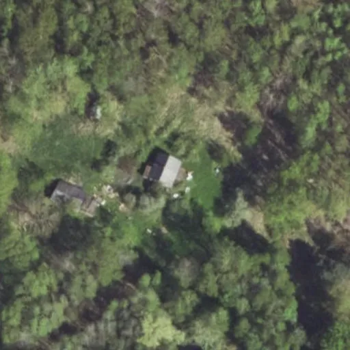 Vaizdas iš viršaus: Bičių g. 17A, Daumantai