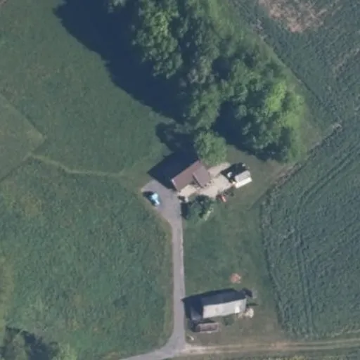 Vaizdas iš viršaus: Švyturio g. 1, Daujočiai