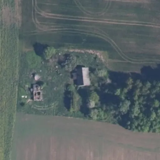 Vaizdas iš viršaus: Maironio g. 81, Svirniai