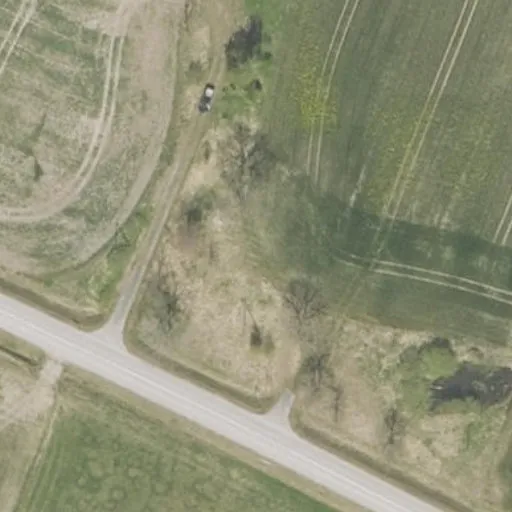 Vaizdas iš viršaus: Miškų g. 2, Grūšlaukė