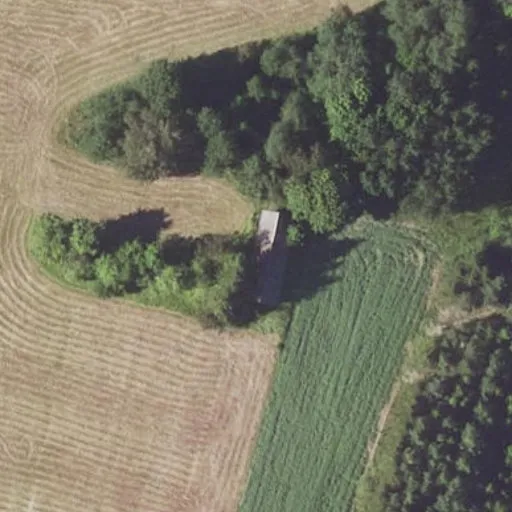 Vaizdas iš viršaus: Ąžuolo g. 15, Buivėnai