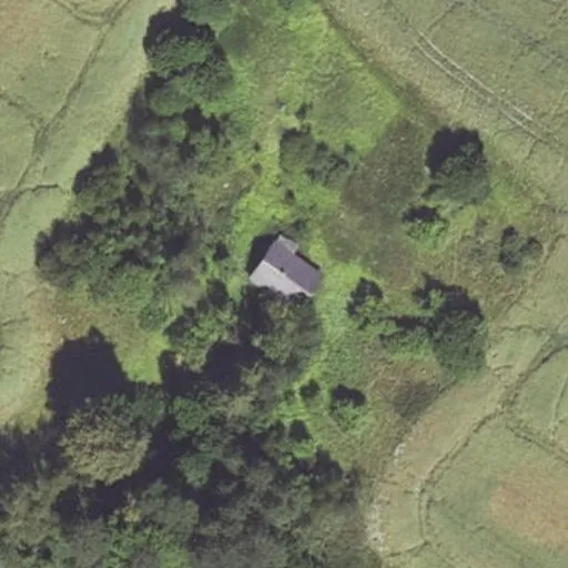 Vaizdas iš viršaus: Marių g. 31, Biliūnai