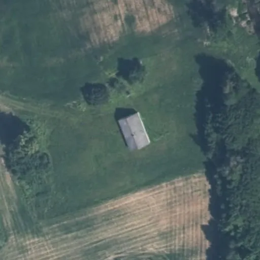 Vaizdas iš viršaus: Aukštadvario g. 9, Dainaviškiai