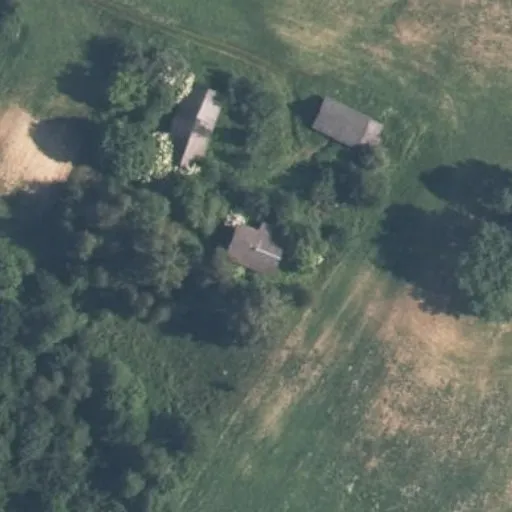 Vaizdas iš viršaus: Beržynų g. 14, Avižonys