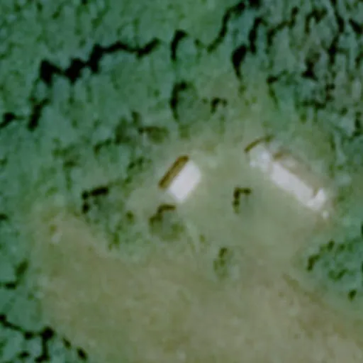 Vaizdas iš viršaus: Nemuno g. 1, Varviškė