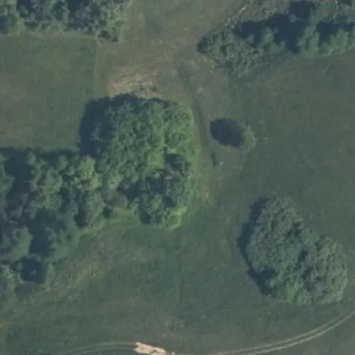 Vaizdas iš viršaus: Šlavantų g. 4, Šlavantai