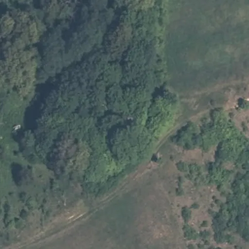 Vaizdas iš viršaus: Panarvės g. 12, Panarvė