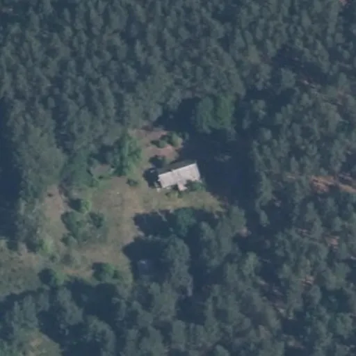 Vaizdas iš viršaus: Smilgų g. 13, Cimaniūnai