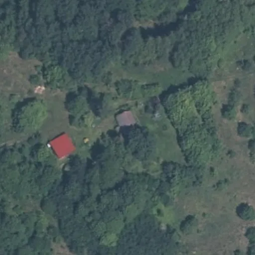 Vaizdas iš viršaus: Panarvės g. 14, Panarvė