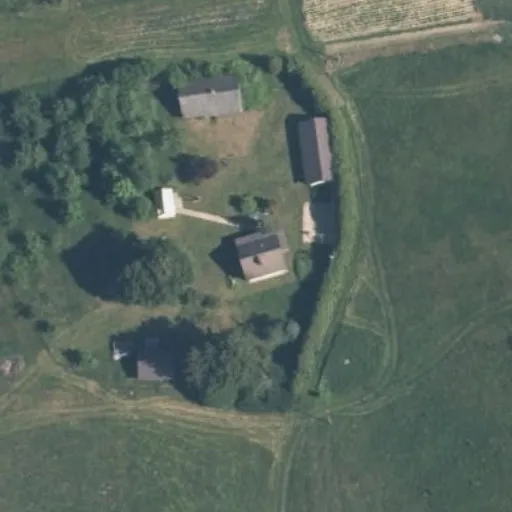 Vaizdas iš viršaus: Eglyno g. 3, Avižieniai