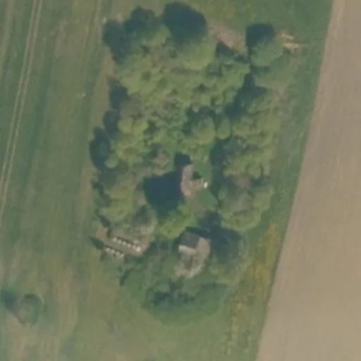 Vaizdas iš viršaus: Auksodės g. 46, Dargiai
