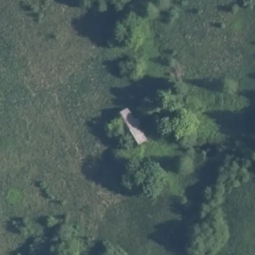 Vaizdas iš viršaus: Vaičelių g. 8, Pušalotai