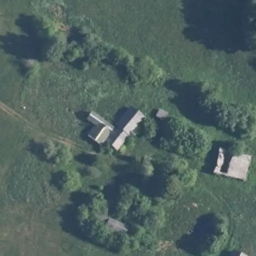 Vaizdas iš viršaus: Pievų g. 52, Linučiai