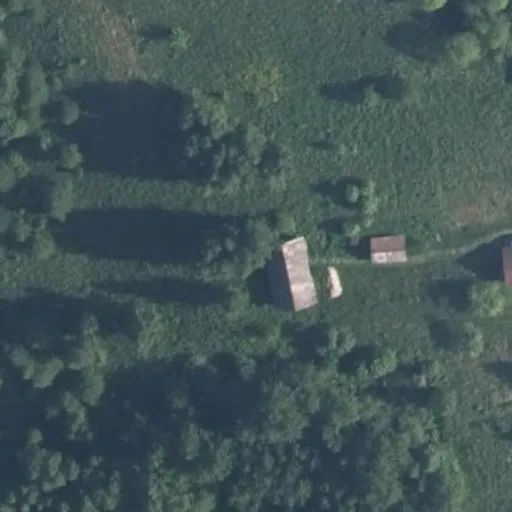 Vaizdas iš viršaus: Išnarų g. 4, Dailidės