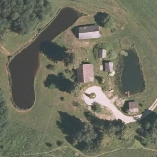 Vaizdas iš viršaus: Alyvų g. 11, Šakiai