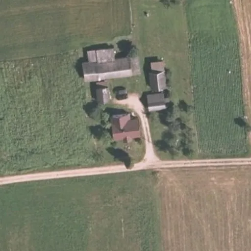 Vaizdas iš viršaus: Perkalių g. 29, Šunakojai
