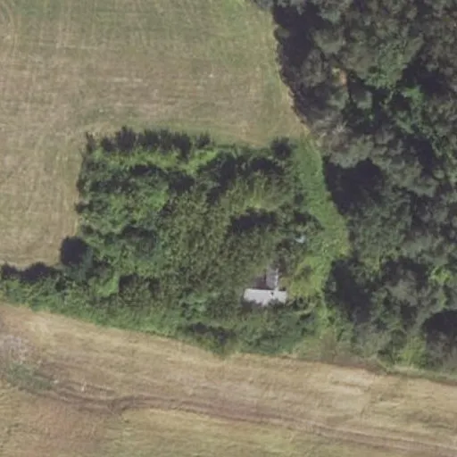 Vaizdas iš viršaus: Dvareliškių g. 7, Pasvalys