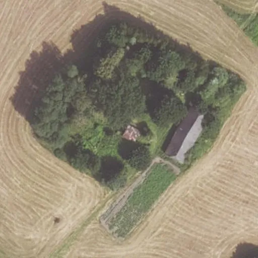 Vaizdas iš viršaus: Baltpamūšio g. 3D, Dagiai