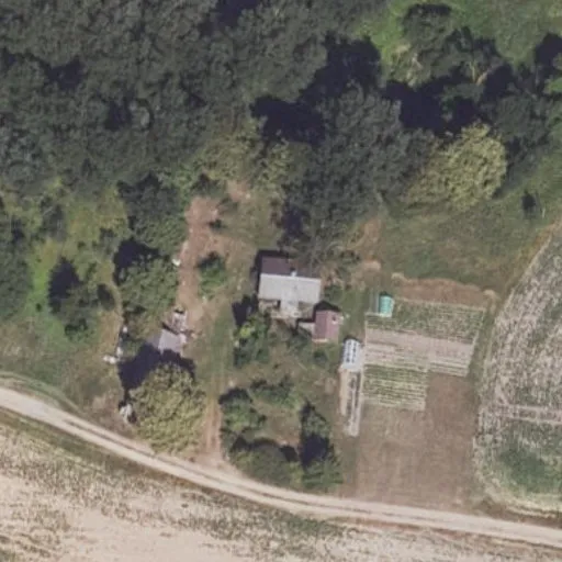 Vaizdas iš viršaus: Biržų g. 4, Papyvesiai