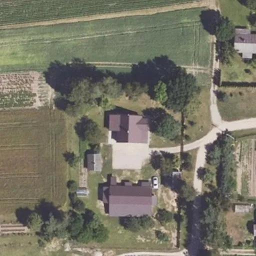 Vaizdas iš viršaus: Žalioji g. 15, Krikliniai
