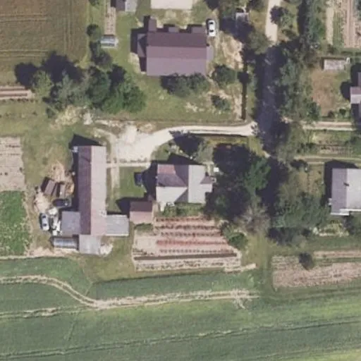 Vaizdas iš viršaus: Žalioji g. 17, Krikliniai