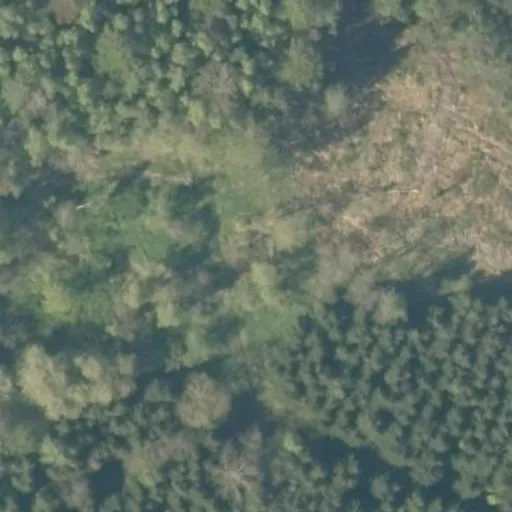 Vaizdas iš viršaus: Pelkinės g. 4, Didieji Mostaičiai