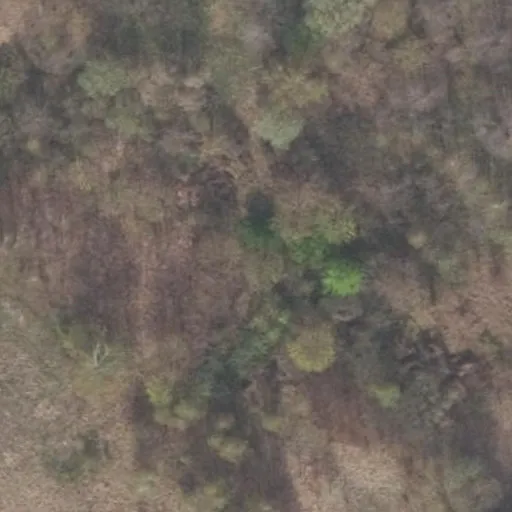 Vaizdas iš viršaus: Pašlavančio g. 2A, Žarsta
