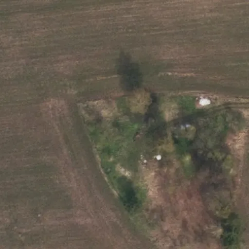 Vaizdas iš viršaus: Pažėrų g. 57, Padrečiai