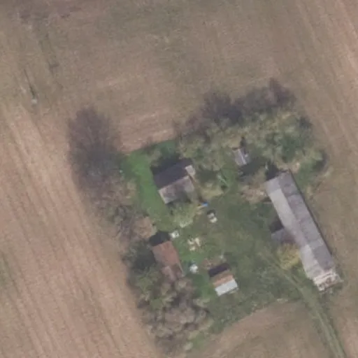 Vaizdas iš viršaus: Pašlavančio g. 31, Skrynupis